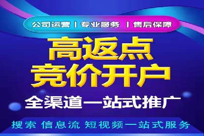 成功SEM推广代运营案例分享